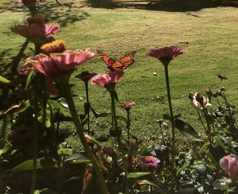 Teleportation FILE_02