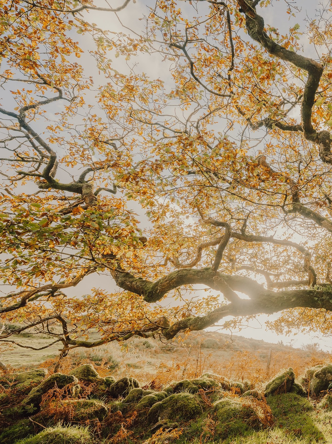 Teleportation FILE_03